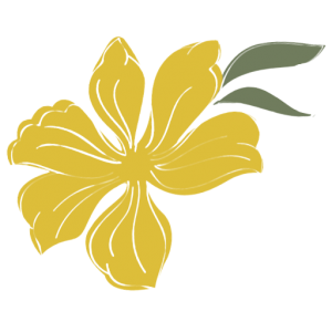 Picture of InStyle Hair Studio Owner, Shawna Small